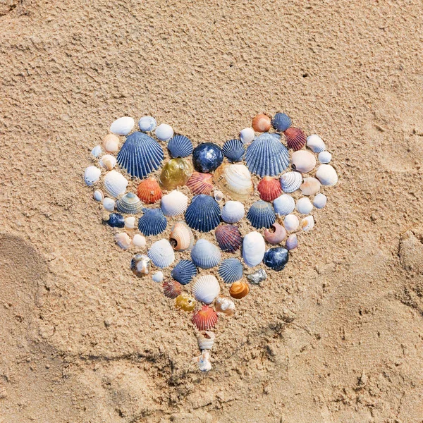 Heart made of seashells on the beach — Stock Photo, Image