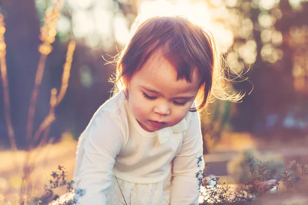 Toddler dziewczynka bawić się w ogrodzie — Zdjęcie stockowe