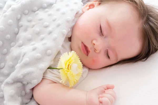 Uyuyan küçük bebeğim — Stok fotoğraf