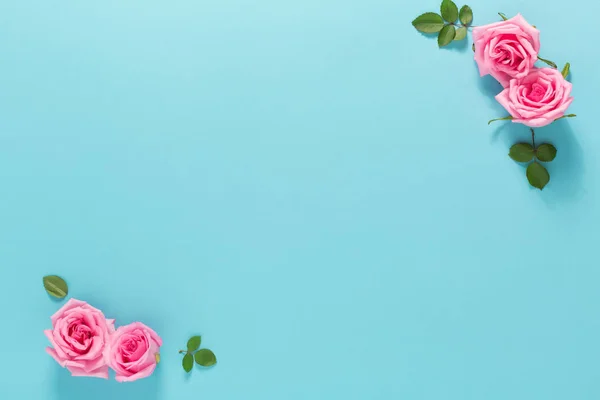 Rosas e folhas vista superior — Fotografia de Stock