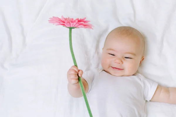 Malá holčička drží květinu — Stock fotografie