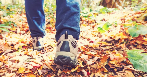 Homme marchant sur un sentier forestier — Photo