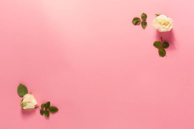 Pembe Beyaz gül köşe çerçeve