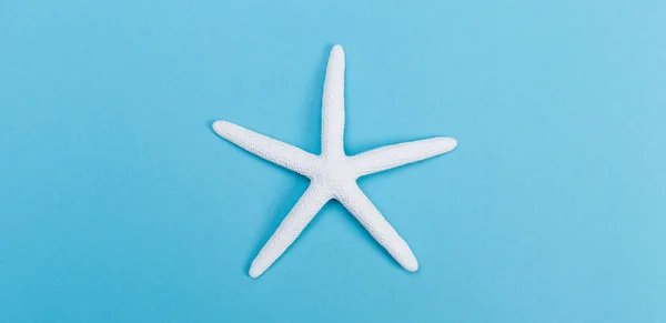 Белая морская звезда на синем фоне — стоковое фото