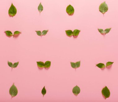 Pembe bir arka plan bahar yapraklarda