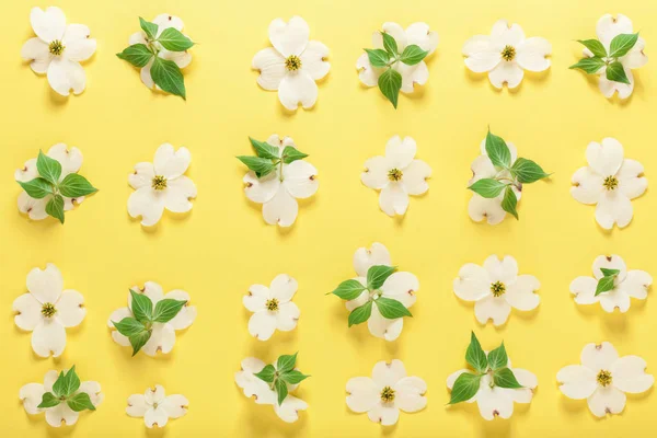 Jarní květiny na žlutém pozadí — Stock fotografie
