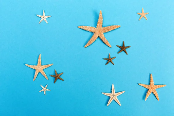 Surtido de estrellas de mar sobre un fondo azul —  Fotos de Stock