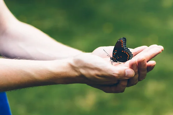 Motyl przysiadł na ręce mężczyzny — Zdjęcie stockowe