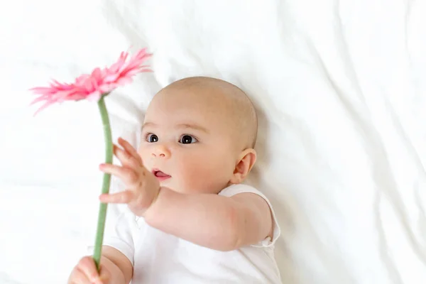 Bebé niña sosteniendo flor —  Fotos de Stock