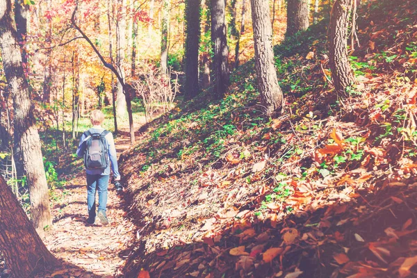 Hombre caminando por sendero forestal — Foto de Stock