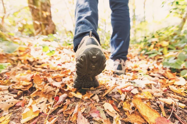 森の小道に男性の足 — ストック写真
