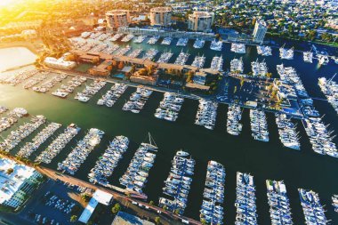 La Marina del Rey Deniz topluluk
