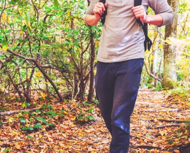 Bir orman yolu üzerinde yürüyen adam