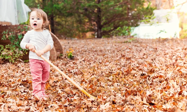 Tout-petit fille ratissage feuilles — Photo