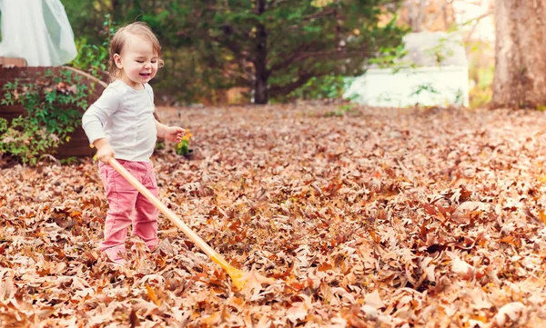 Toddler girl raking leaves — Stock Photo, Image