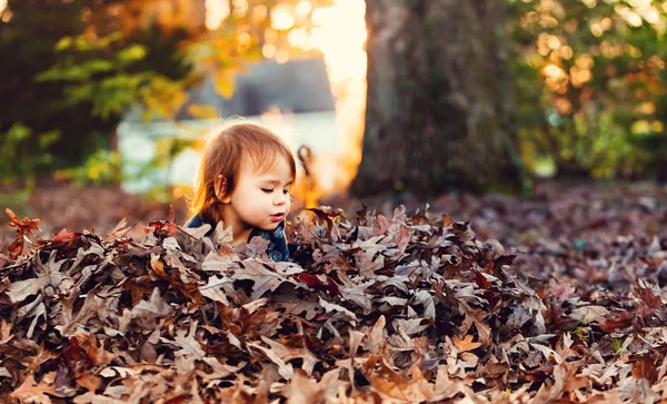 Chica jugando en un montón de hojas de otoño — Foto de Stock