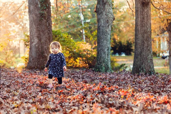 Kleuter meisje spelen in de herfst bladeren — Stockfoto