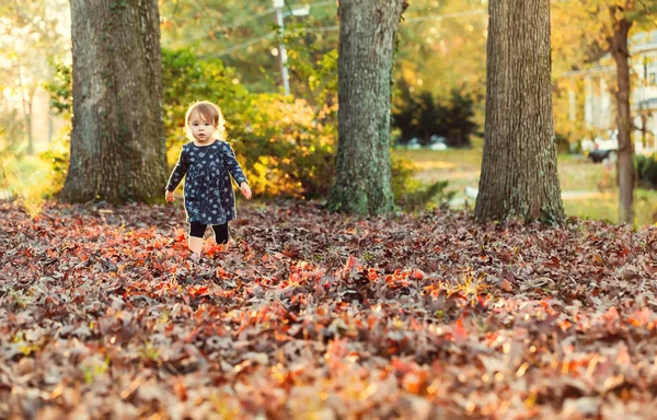 Fille jouer dans les feuilles d'automne — Photo