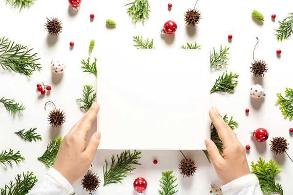 Collection of Christmas plants top view — Stock Photo, Image