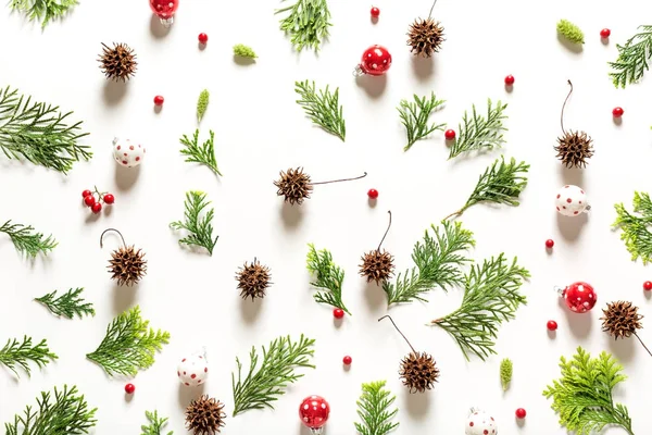 Karácsonyi növények gyűjteménye felülnézet — Stock Fotó