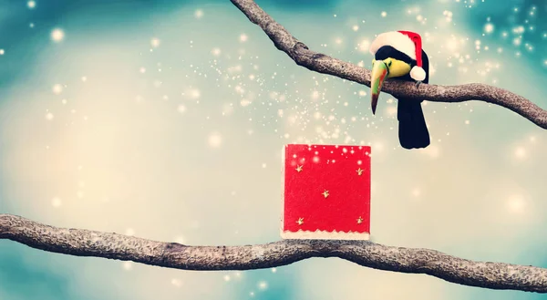 Toucan com chapéu de Papai Noel e presente de Natal — Fotografia de Stock