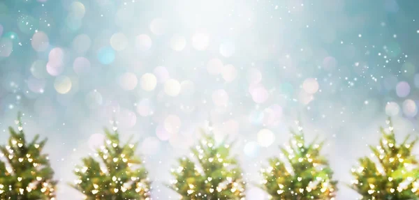 Verlichte kerstbomen — Stockfoto