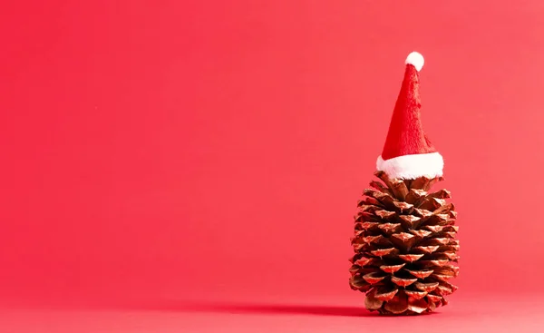 Pigna a tema natalizio con cappello da Babbo Natale — Foto Stock