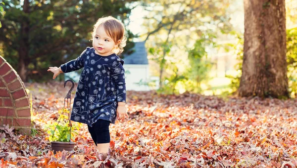 Sonbahar yaprakları oynarken mutlu yürümeye başlayan çocuk kız — Stok fotoğraf