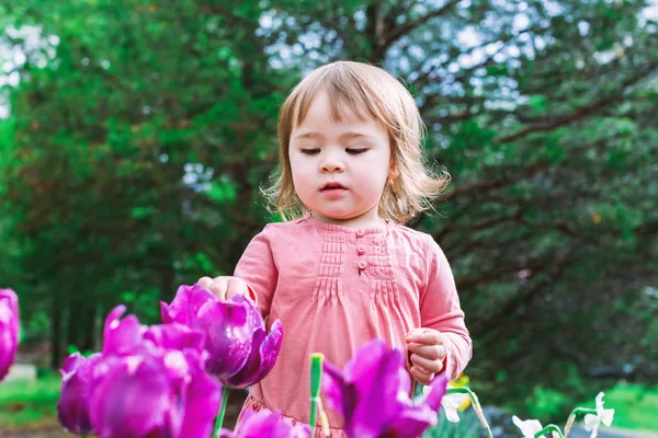 Batole dívka si hraje s tulipány mimo — Stock fotografie
