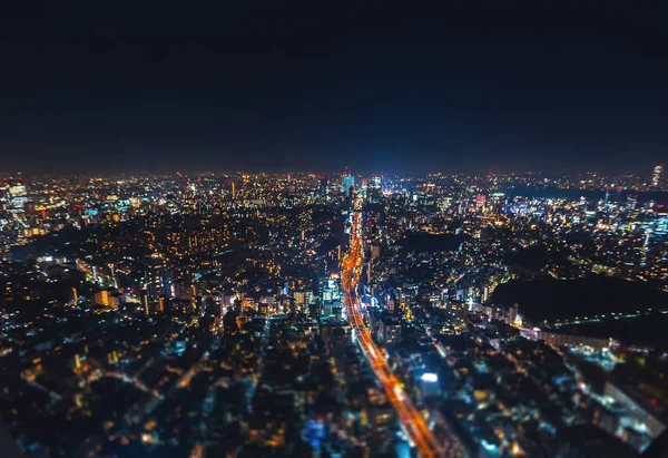 日本东京的空中景观 — 图库照片