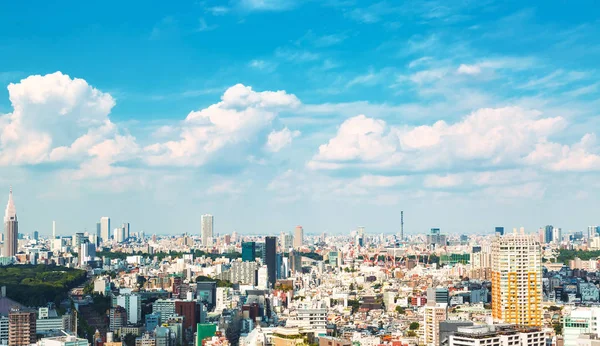 Вид на силуэт Синдзюку в Токио, Япония — стоковое фото