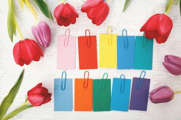 Multcolored labels with tulips — Stock Photo, Image