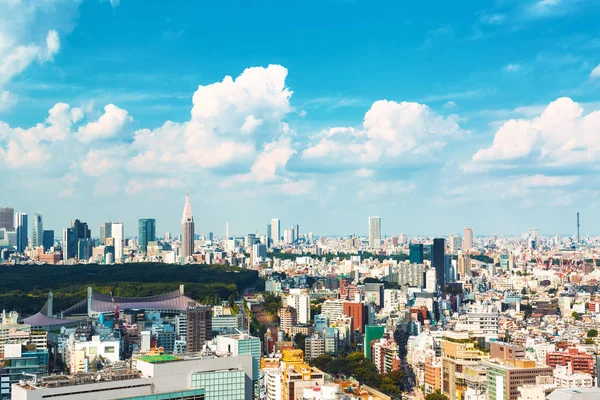 Uitzicht op de skyline van Shinjuku in Tokio, Japan — Stockfoto