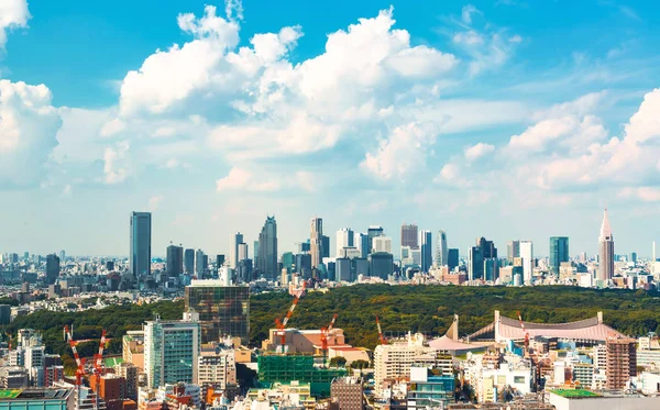 Blick auf die Shinjuku-Skyline in Tokio, Japan — Stockfoto