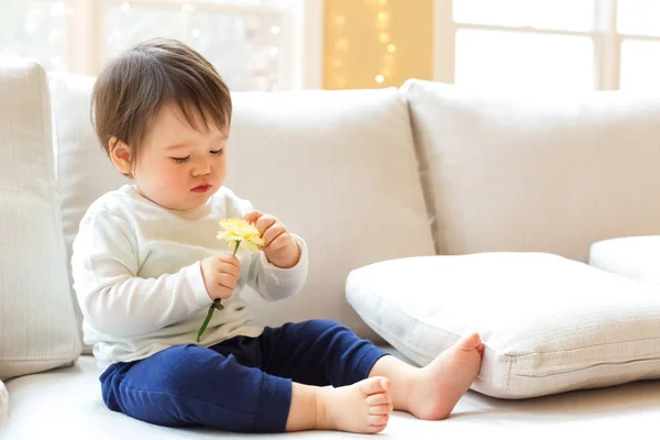 春の花を持つ幼児少年 — ストック写真