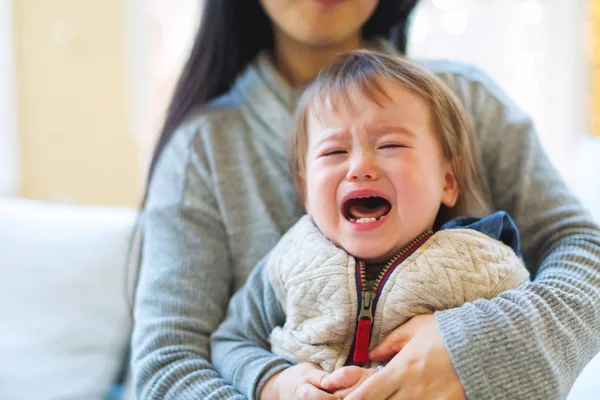 Upprörd småbarn pojke gråter — Stockfoto