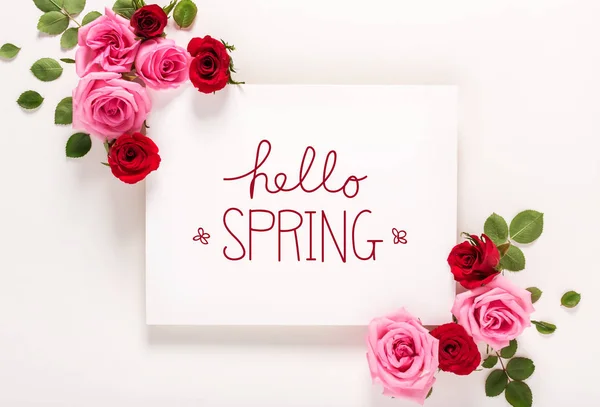 バラと葉をメッセージのこんにちは春 — ストック写真