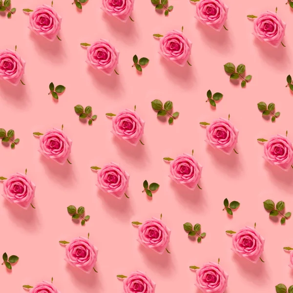 Růžové růže na pastelově růžové pozadí — Stock fotografie