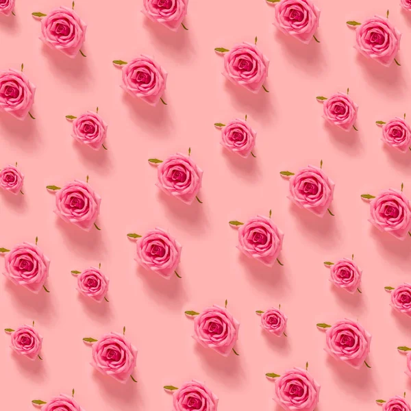 Růžové růže na pastelově růžové pozadí — Stock fotografie