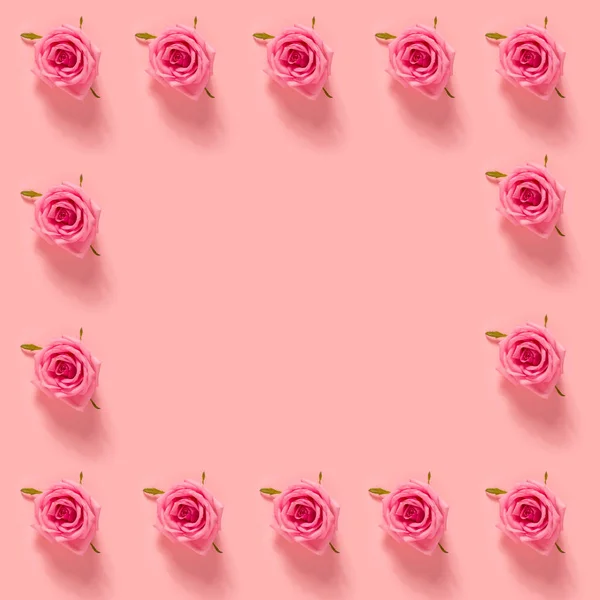 Rosa rosas no fundo rosa pastel — Fotografia de Stock