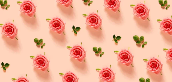 粉红色的玫瑰在柔和的粉红色背景 — 图库照片