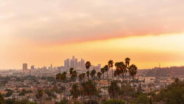 Coucher de soleil dans le centre-ville de LA — Video