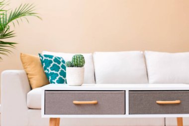 Beyaz koltukta büyük lüks ev