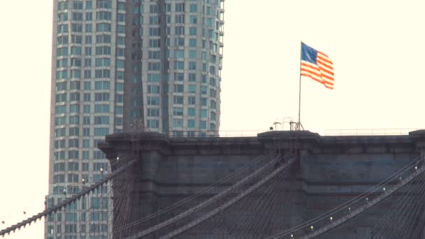 Pont de Brooklyn sur l'East River à NY — Video