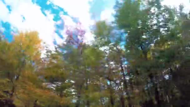 POV vezetés lövés a hegyekben — Stock videók