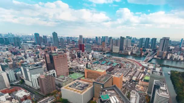 Time-lapse van de Tsukiji Vismarkt in Tokio — Stockvideo