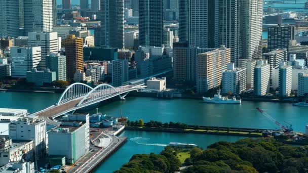 Caducidad del río Tokyos Sumida — Vídeos de Stock