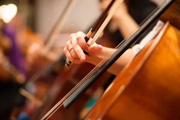 Viyolonsel çalar bir orkestrada gerçekleştirme — Stok fotoğraf