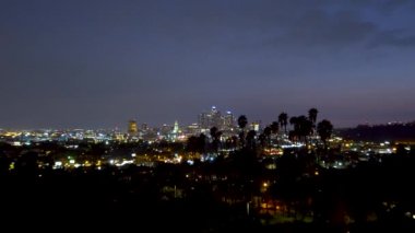 Palmiye ağaçları ile gece şehir Los Angeles