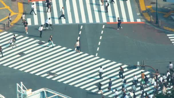 Ludzie krzyż słynne skrzyżowanie w Shibuya, Tokio, Japonia — Wideo stockowe